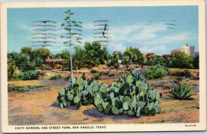 postcard San Angelo, Texas - Cacti Garden, Abe Street Park