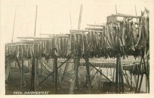 Norway 1920s Hammerfest Drying Fish #1604 RPPC Photo Postcard Bergen 22-3211