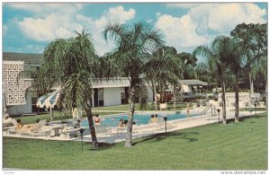 Quality Motel South , South Tamiami Trail , SARASOTA , Florida , 50-60s : Swi...