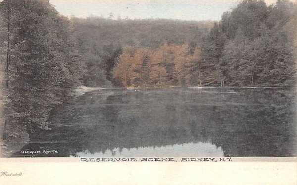 Reservoir Scene in Sidney, New York