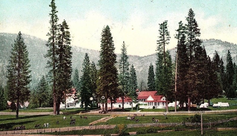 C.1910 Hotel Wawona, Yosemite Valley, CA Goats Mountains Postcard P122