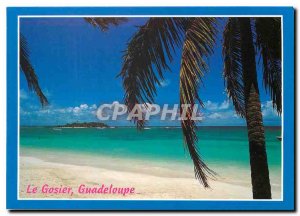 Modern Postcard The Gosier Guadeloupe