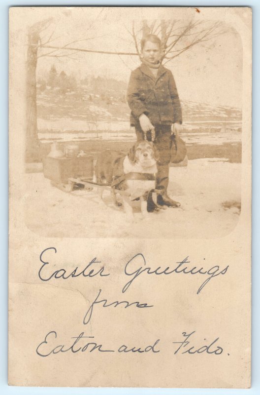 RPPC Beagle Dog Pulling Sled Real Photo Postcard