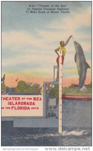 Florida Islamorada Jumping Porpoise At Theatre Of The Seas In The Florida Key...