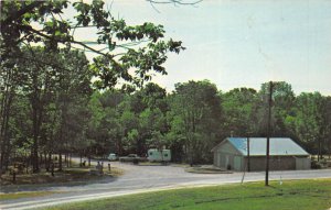 Carrollton Kentucky 1960s Postcard Camping Area General Butler State Park