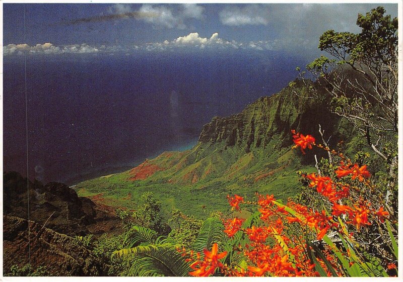 Lot380 usa hawaii kalalau valley lava volcano