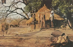 Zembesi Fishing Fischcatch Zambia Postcard