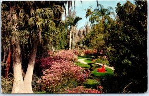 Lovely Walkways Surrounded By Tropical Beauty At Cypress Gardens, Florida