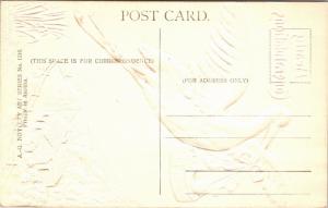 Stork Delivering a Baby, Congratulations Embossed Vintage Postcard L20