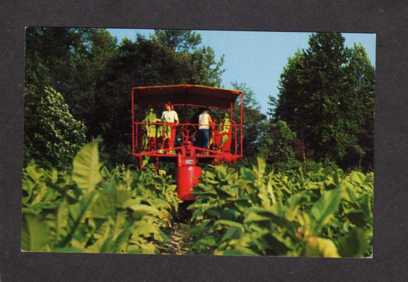 Farming Tobacco Harvester Farm Harvesting Growing Smoking Machinery Postcard