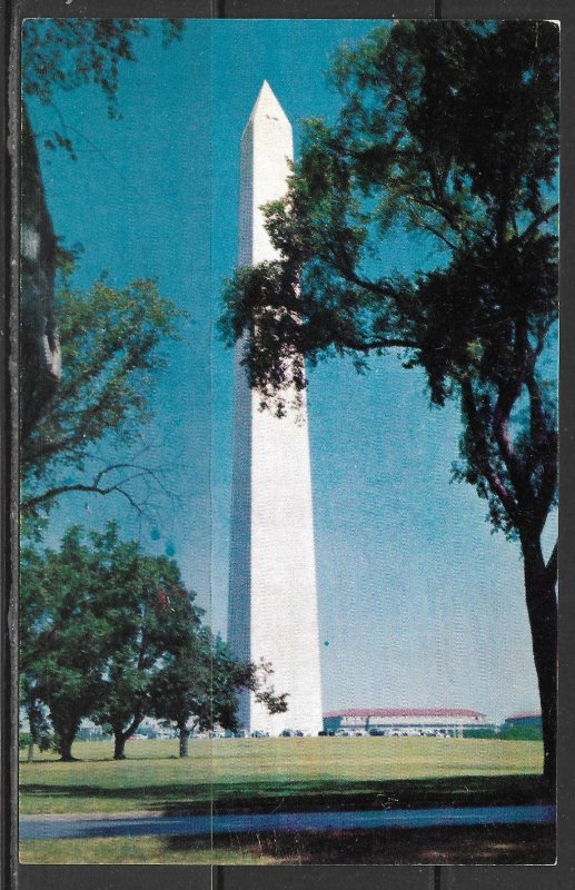 Washington DC - Washington Monument - [DC-180]