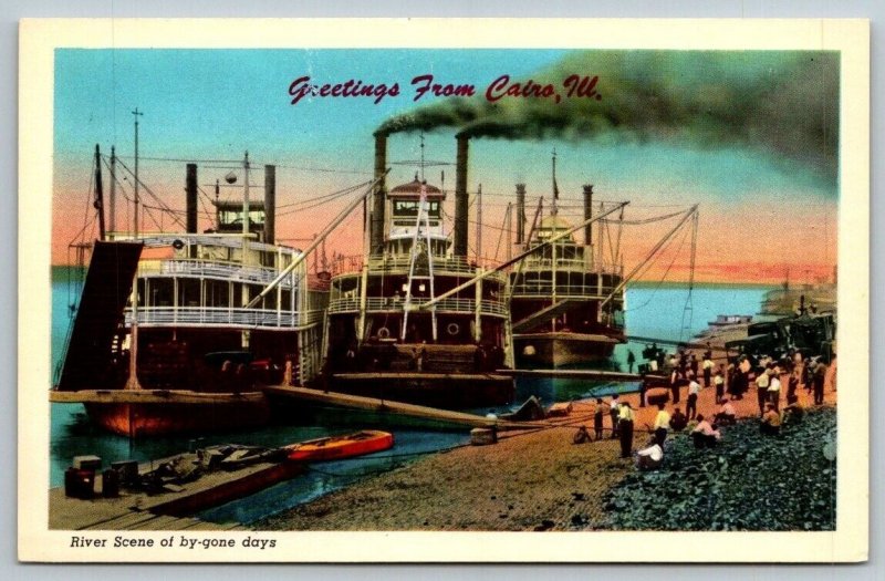 Greetings From Cairo  Illinois  River Scene  Steamships  Postcard