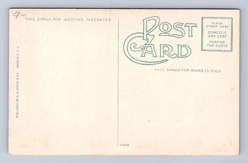 A FLORIDA CROCODILE POSTCARD (c.1910)