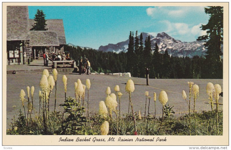 Indian Baskeet Grass, Mt. Rainier National Park, TACOMA, Washington, 1940-1960s