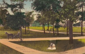 MUNCIE, Indiana, PU-1908; View In McCullough Park