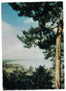 Postcard Hungary 1970 Lake Balaton Tree