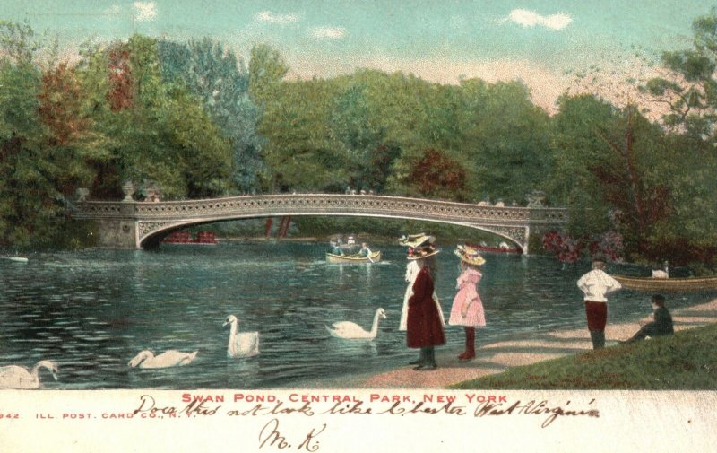 Vintage Postcard Swan Pond And Bridge Recreational Park Central Park New York NY