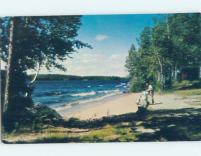 Pre-1980 BEACH SCENE Minnesota Lake By Mankato & Albert Lea & Owatonna MN G5589