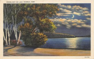 Lake Okobodji Iowa 1940s Postcard Moonlight on Lake