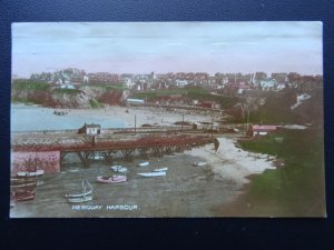 Cornwall NEWQUAY HARBOUR c1930's Coloured Black & White RP Postcard