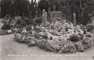 Texas Edinburg Mountain Home Pirtle Cactus Garden Real Photo