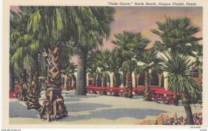 CORPUS CHRISTI , Texas , 1930-40s ; Palm Grove , North Beach