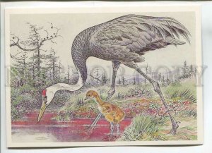 479579 USSR 1989 year Red Book protected animals Gorbatov black crane bird
