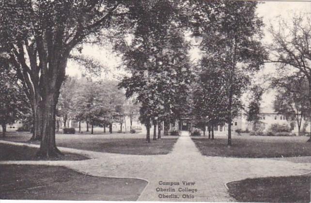 Ohio Oberlin Campus View Oberlin College Albertype