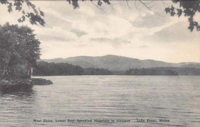 Maine Lake Kezar West Shore Lower Bay Speckled Mountain In Distance Albertype