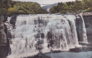 New York Letchworth State Park Middle Falls Albertype