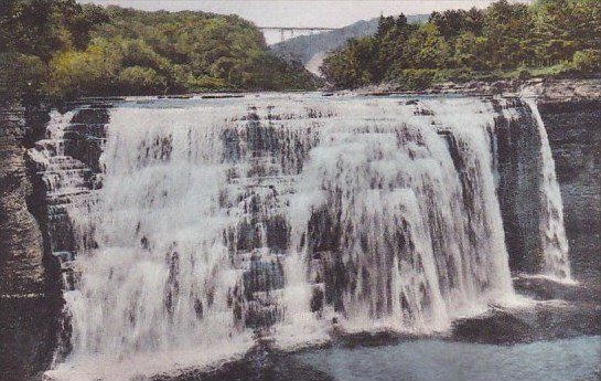 New York Letchworth State Park Middle Falls Albertype