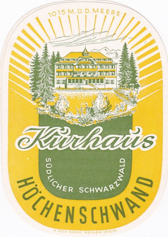 Germany Hochenschwand Kurhaus Sudlicher Schwarzwald Vintage Luggage Label sk3290