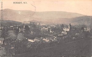 Bird's Eye View in Hobart, New York