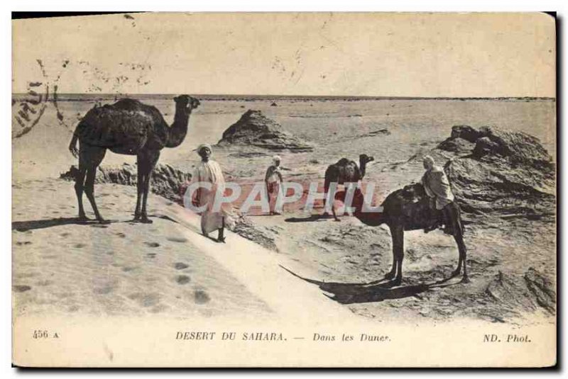 Old Postcard Sahara Desert Dunes In