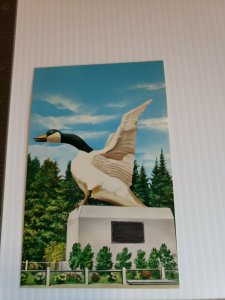 Vintage postcard Wild Goose Wawa Ontario Canada 1970 Ojibwa posted  359