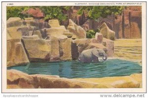 Illinois Chicago Elephant At Zoological Park 1940