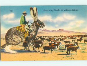 Linen EXAGGERATION - COWBOY ON HUGE BUNNY RABBIT Postmarked Laredo TX v4147