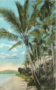 Hawaiian Islands Coast Scene The Indian Curio Honolulu Postcard 22-1870