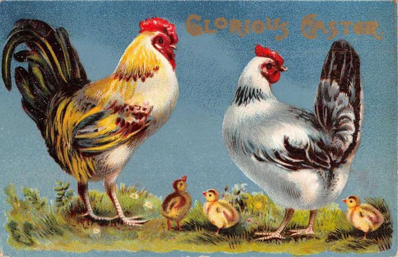 Pair Of Easter Greetings Roosters With Baby Chicks Glourious Antique PCs K28924 