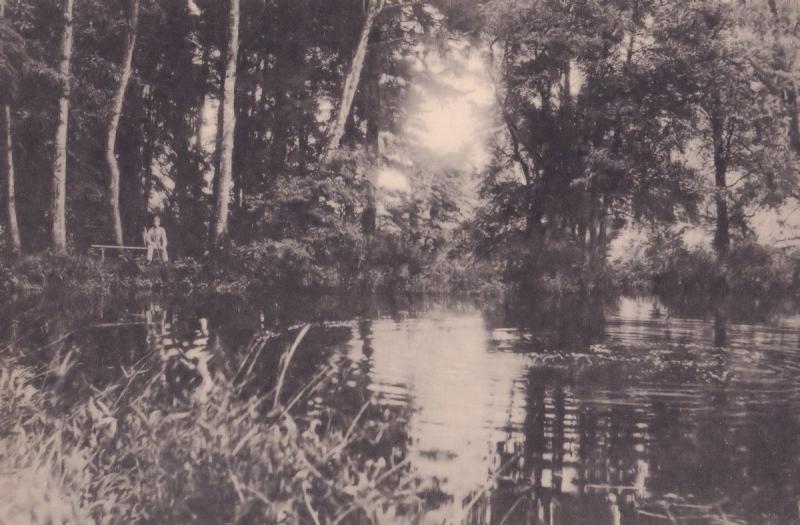 Fishing at Pacov River Czech Republic Antique Postcard