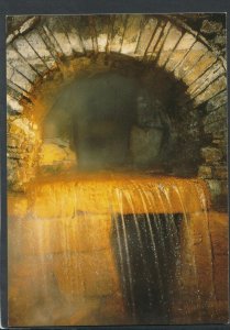 Somerset Postcard - The Roman Bath, Bath   T8606