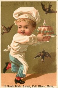 Trade Card Advertising Wilbur Clothiers Fall River MA, Birds & Little Cake Baker