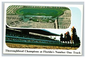 Vintage 1960's Advertising Postcard Gulfstream Horse Racing Hallandale Florida