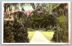 RPPC  Colored  Sunset Scene Hawaii  Real Photo Postcard  c1930