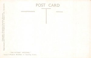 Potter's Museum Bramber Humanized Kitten's at Wedding Cats postcard