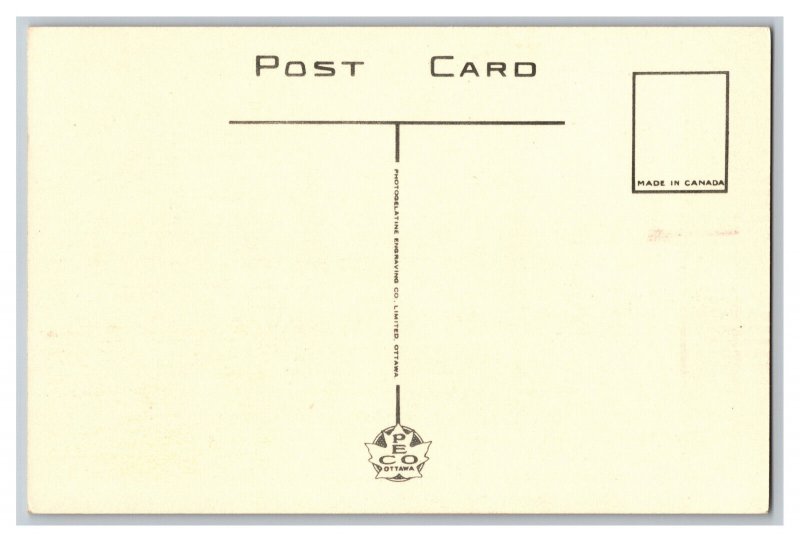 Paper Mills & Falls Fort Frances Ontario Canada Postcard