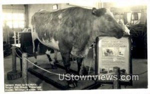 Real Photo - Wonderland Museum in Billings, Montana