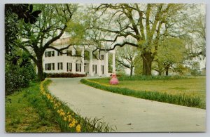 Postcard Natchez Mississippi MS D'Evereux Colonial Home Gardens 1950s View