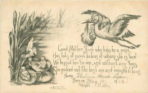 Artist impression 1912 Stork Baby Delivery Thelma Rena Lyom Postcard 20-4240