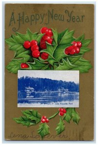 1910 New Year Holly Berries Mt. Vernon Lake Hiawatha Park Embossed Postcard